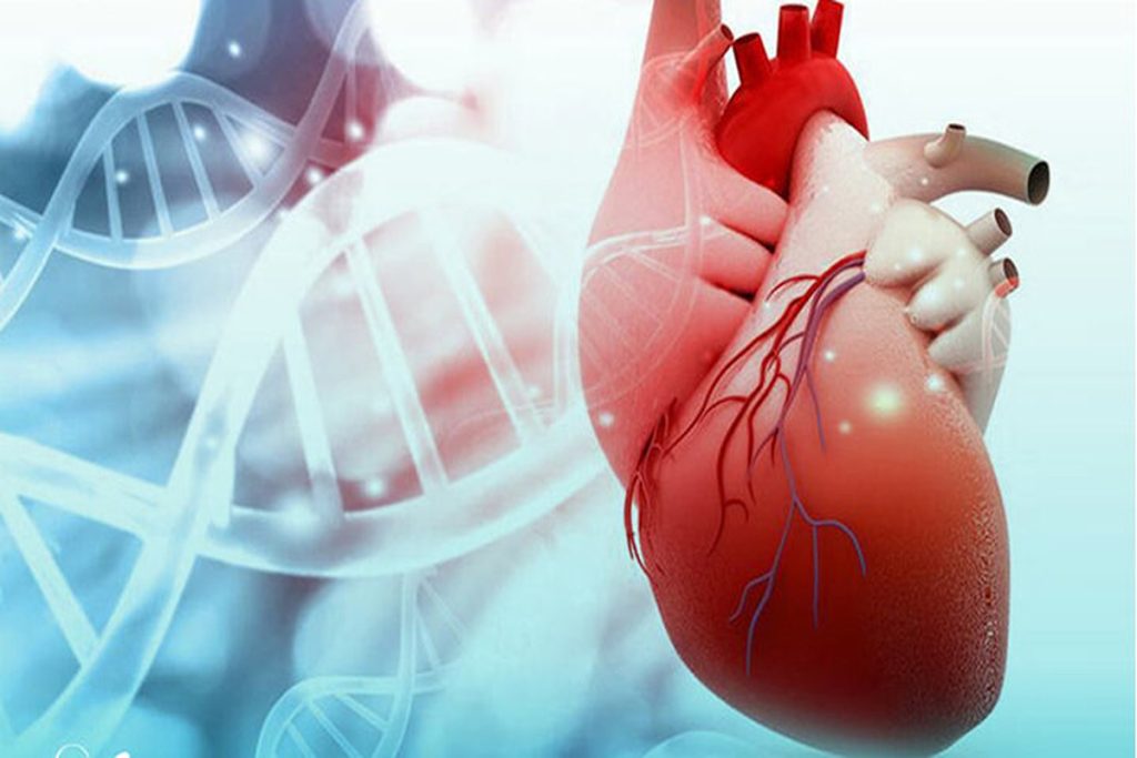 چکاپ قلب در تهران