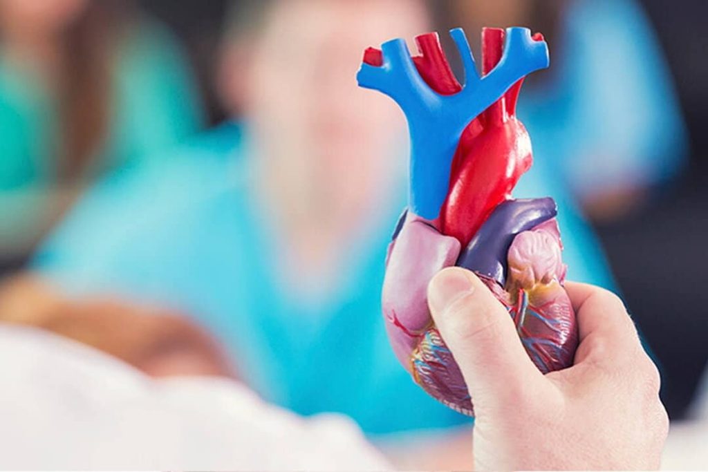 چکاپ قلب در تهران