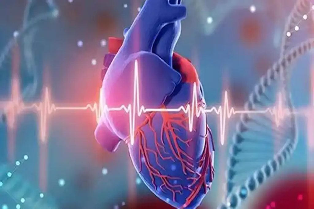 آیا استرس واقعاً باعث بیماری قلبی می‌شود؟ بررسی علمی با دکتر لیا میرصفایی